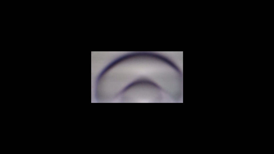 s/t, 2021. Animación digital.  01:31 min